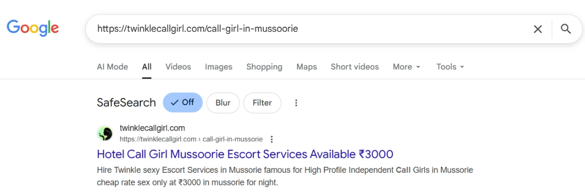 screenshot result keyword type on google 'twinkle escort service in Mussorie'
